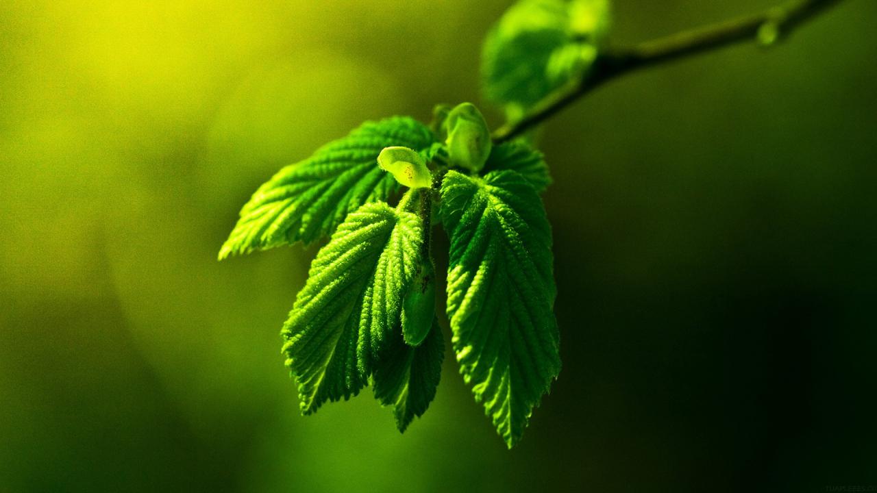 芯片行业的副业有哪些(芯片行业的副业有哪些岗位)